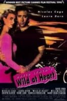 Layarkaca21 LK21 Dunia21 Nonton Film Wild at Heart (1990) Subtitle Indonesia Streaming Movie Download