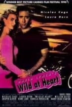 Nonton Film Wild at Heart (1990) Subtitle Indonesia Streaming Movie Download