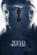 Layarkaca21 LK21 Dunia21 Nonton Film Wind River (2017) Subtitle Indonesia Streaming Movie Download