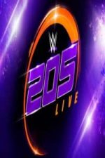WWE 205 Live 04.11.17 (2017)