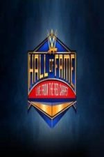 WWE Hall of Fame Red Carpet 31.03 (2017)