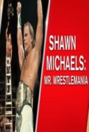 Layarkaca21 LK21 Dunia21 Nonton Film WWE Network Collection – Shawn Michaels Mr WrestleMania 6.03 (2017) Subtitle Indonesia Streaming Movie Download