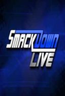 Layarkaca21 LK21 Dunia21 Nonton Film WWE Smackdown Live (2017) Subtitle Indonesia Streaming Movie Download
