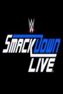 Layarkaca21 LK21 Dunia21 Nonton Film WWE Smackdown Live! 11.04 (2017) Subtitle Indonesia Streaming Movie Download