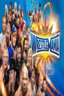 Layarkaca21 LK21 Dunia21 Nonton Film WWE Wrestlemania XXXIII (2017) Subtitle Indonesia Streaming Movie Download