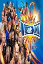 WWE Wrestlemania XXXIII (2017)