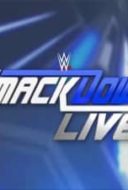 Layarkaca21 LK21 Dunia21 Nonton Film WWE Smackdown Live 28 February (2017) Subtitle Indonesia Streaming Movie Download