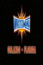 WWE WrestleMania 33 02 April (2017)