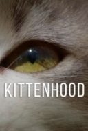 Layarkaca21 LK21 Dunia21 Nonton Film Kittenhood (2015) Subtitle Indonesia Streaming Movie Download