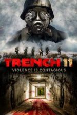 Trench 11(2017)