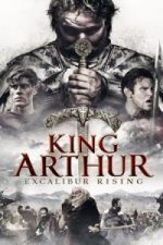 King Arthur: Excalibur Rising(2017)