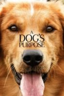 Layarkaca21 LK21 Dunia21 Nonton Film A Dog’s Purpose (2017) Subtitle Indonesia Streaming Movie Download