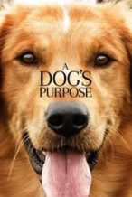 Nonton Film A Dog’s Purpose (2017) Subtitle Indonesia Streaming Movie Download