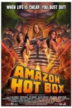 Nonton Film Amazon Hot Box (2018) Subtitle Indonesia Streaming Movie Download