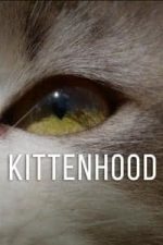Kittenhood (2014)