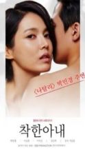 Nonton Film The Kind Wife (2016) Subtitle Indonesia Streaming Movie Download