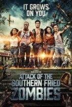 Nonton Film Attack Of The Southern Fried Zombies (2017) Subtitle Indonesia Streaming Movie Download