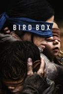 Layarkaca21 LK21 Dunia21 Nonton Film Bird Box (2018) Subtitle Indonesia Streaming Movie Download