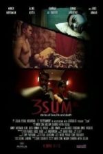 3Sum (2013)