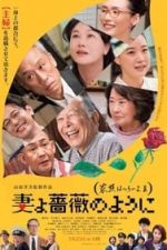 What a Wonderful Family! 3: My Wife, My Life (2018)