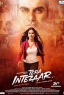 Layarkaca21 LK21 Dunia21 Nonton Film Tera Intezaar (2017) Subtitle Indonesia Streaming Movie Download