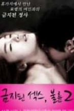 Nonton Film Forbidden Sex 2 Affair (2012) Subtitle Indonesia Streaming Movie Download