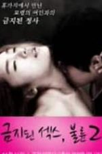 Forbidden Sex 2 Affair (2012)