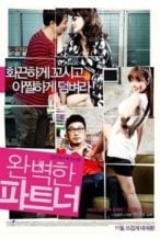 Nonton Film My Secret Partner (2011) Subtitle Indonesia Streaming Movie Download