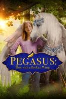 Layarkaca21 LK21 Dunia21 Nonton Film Pegasus: Pony with a Broken Wing (2019) Subtitle Indonesia Streaming Movie Download