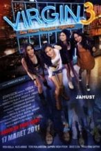 Nonton Film Virgin 3: Satu Malam Mengubah Segalanya (2011) Subtitle Indonesia Streaming Movie Download