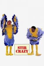 Stir Crazy (1980)