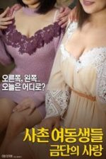 Cousin Sisters: Looking Back Forbidden Love (2018)