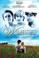 Layarkaca21 LK21 Dunia21 Nonton Film Wildflower (1991) Subtitle Indonesia Streaming Movie Download