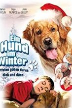 Nonton Film Christmas with Tucker (2014) Subtitle Indonesia Streaming Movie Download
