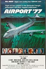 Airport ’77 (1977)