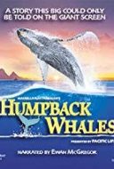 Layarkaca21 LK21 Dunia21 Nonton Film Humpback Whales (2015) Subtitle Indonesia Streaming Movie Download