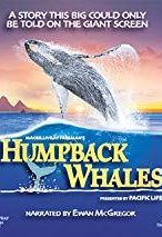 Nonton Film Humpback Whales (2015) Subtitle Indonesia Streaming Movie Download