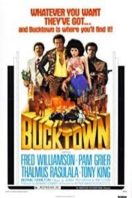 Layarkaca21 LK21 Dunia21 Nonton Film Bucktown (1975) Subtitle Indonesia Streaming Movie Download