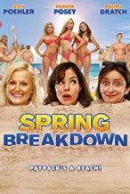 Nonton Film Spring Breakdown (2009) Subtitle Indonesia Streaming Movie Download