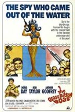 Nonton Film The Glass Bottom Boat (1966) Subtitle Indonesia Streaming Movie Download