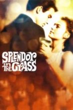 Nonton Film Splendor in the Grass (1961) Subtitle Indonesia Streaming Movie Download