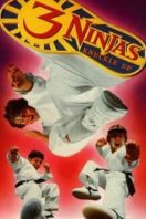 Layarkaca21 LK21 Dunia21 Nonton Film 3 Ninjas Knuckle Up (1995) Subtitle Indonesia Streaming Movie Download