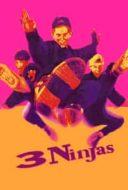 Layarkaca21 LK21 Dunia21 Nonton Film 3 Ninjas (1992) Subtitle Indonesia Streaming Movie Download