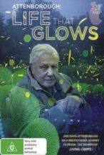 Nonton Film Attenborough’s Life That Glows (2016) Subtitle Indonesia Streaming Movie Download