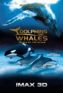Layarkaca21 LK21 Dunia21 Nonton Film Dolphins and Whales 3D: Tribes of the Ocean (2008) Subtitle Indonesia Streaming Movie Download