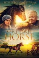 Layarkaca21 LK21 Dunia21 Nonton Film Orphan Horse (2018) Subtitle Indonesia Streaming Movie Download