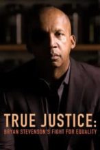 Nonton Film True Justice: Bryan Stevenson’s Fight for Equality (2019) Subtitle Indonesia Streaming Movie Download