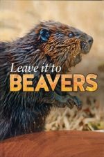 Leave it to Beavers (2014)
