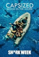 Layarkaca21 LK21 Dunia21 Nonton Film Capsized: Blood in the water (2019) Subtitle Indonesia Streaming Movie Download