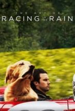 Nonton Film The Art of Racing in the Rain (2019) Subtitle Indonesia Streaming Movie Download